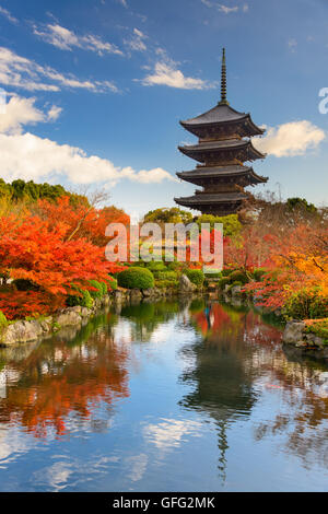 Kyoto, Japan at Toji Pagoda in autumn. Stock Photo