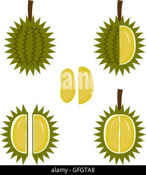 Durian fruit icon in flat style, vector Stock Vector