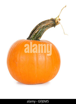 Small pumpkin series, isolated on white. Stock Photo