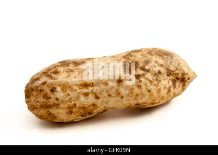 peanut hull on white isolated background Stock Photo