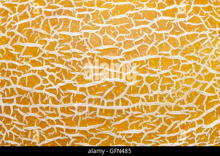 Ripe melon peel texture close up Stock Photo
