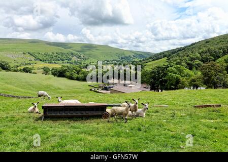 Yorkshire dales in upper Wharfedale UK Stock Photo