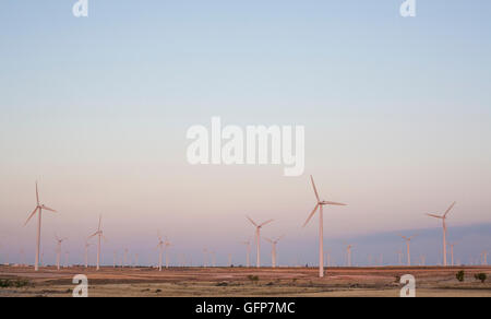 Electric wind turbines farm with sunset light on arid landscape, Spain Stock Photo