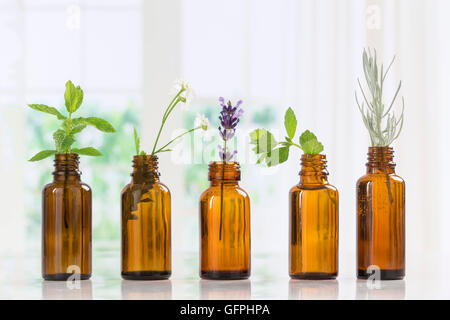 Bottle of essential oil with herbs and spices in brown bottles Stock Photo