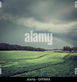 Dark Toned Landscape with Field and Moody Sky Stock Photo - Alamy