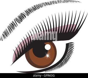 vector illustration of an eye brown with long lashes Stock Vector