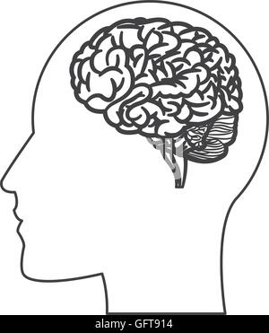 human brain within head silhouette icon Stock Vector Image & Art - Alamy