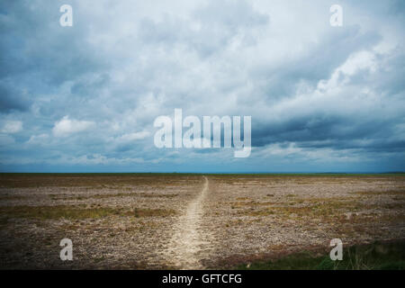 Walking along the ancient Ridgeway path through the county of Berkshire. Stock Photo