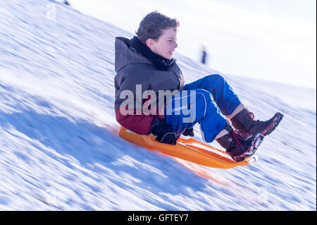 Children sledging at Brighton's Stanmer Park after a pre-Christmas snowfall. Stock Photo