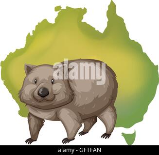 Wombat and Australia map Stock Vector Image & Art - Alamy