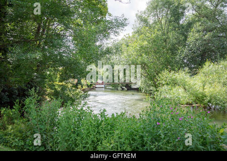 The River Thames at Pangbourne in Berkshire Stock Photo