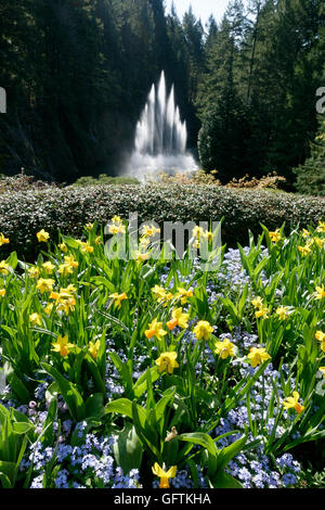 Butchart Gardens in spring, the Ross Fountain Stock Photo