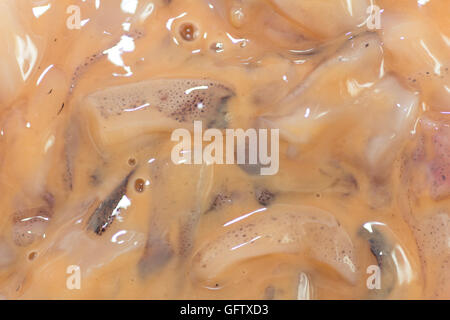 Japanese salted fish guts called Ika No Shiokara Stock Photo