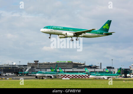 Aer Lingus plane landing at Dublin airport with Aer Lingus planes on the ground and Dublin airport sign on the terminal building Stock Photo