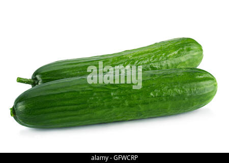 Long cucumber vegetable closeup isolated on white Stock Photo