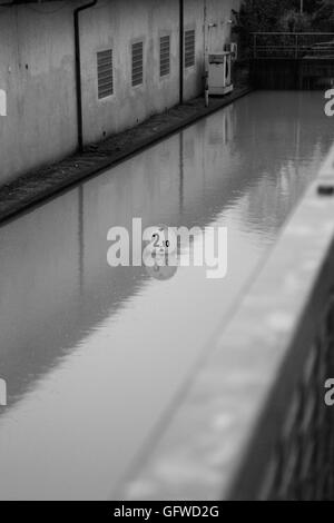 Exceptional flood in pordenone in November 2010 - Pordenone alluvione Novembre 2010 -  Massimiliano Scarpa photographer Stock Photo