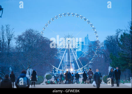 Paris winter night, view in winter of the ferris wheel sited between the Tuileries Gardens and the Champs Elysees in Paris, France. Stock Photo