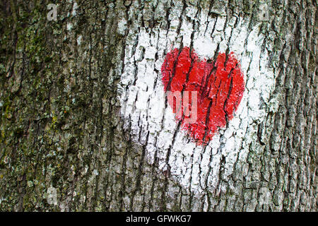 Red Heart Inside White Circle Painted on Tree Stock Photo