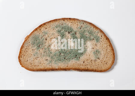 Moldy bread Stock Photo