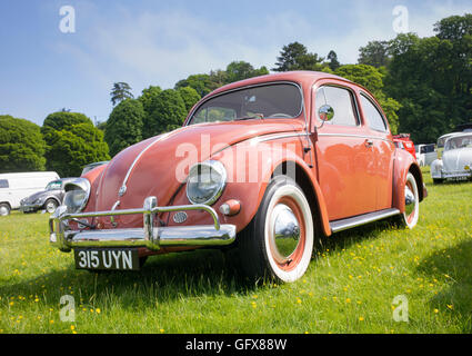 1957 VW Beetle car at a VW show. Oxfordshire, England Stock Photo