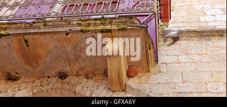 House Martins nesting under eves in Monpazier France Stock Photo