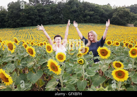 Teenage girls in a Field of sunflowers at Frayssinet le-Gelat in Le Lot Region department France Stock Photo