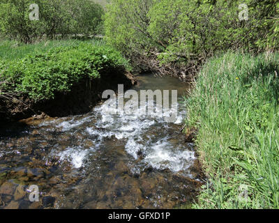 River Ettrick, Ettrick Marshes, Ettrick Valley, Borders, Scotland, UK in June Stock Photo