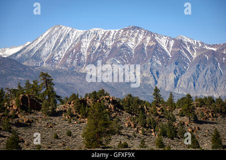 California, Sierra Nevada Mountains, Inyo National Forest, Icicles
