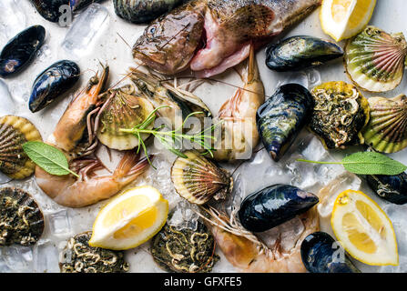 Fresh seafood with herbs and lemon on ice. Prawns, fish, mussels, scallops over steel metal tray Stock Photo