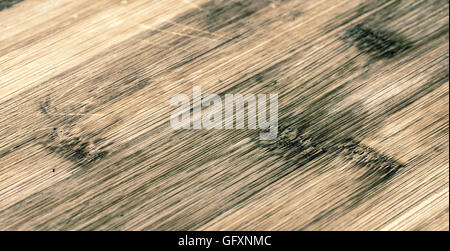 finished palm wood Stock Photo