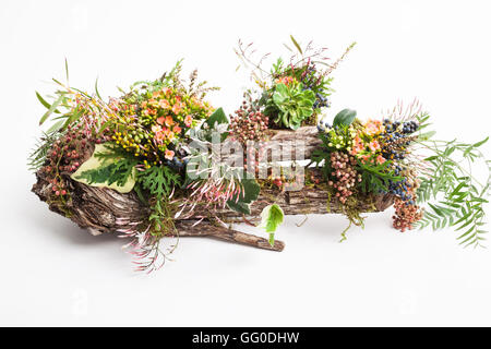 Table center display of Australian flowers, ferns and leaves on a horizontal eucalyptus log Stock Photo