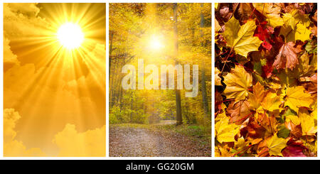 Autumn photo collage Stock Photo