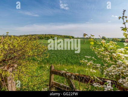 A field in Hampshire, the site of the Battle of Cheriton in the English Civil War, March 29th 1644. Stock Photo