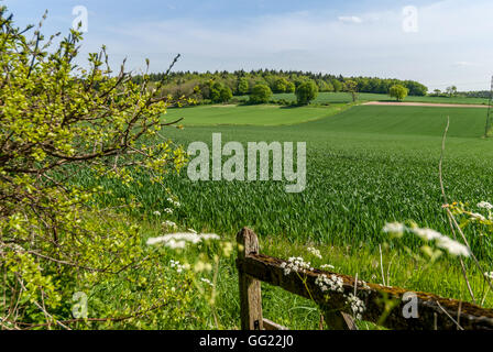 A field in Hampshire, the site of the Battle of Cheriton in the English Civil War, March 29th 1644. Stock Photo