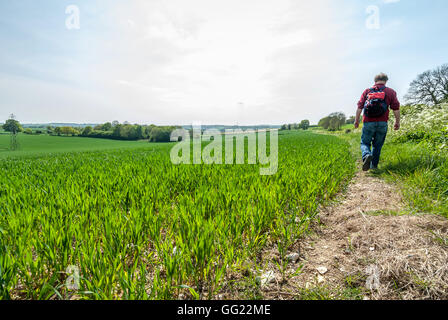 A field in Hampshire, the site of the Battle of Cheriton in the English Civil War, March 29th 1644. Stock Photo