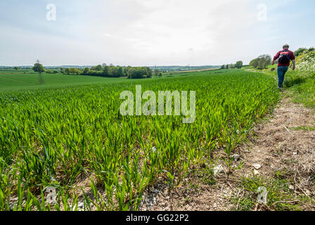 A field in Hampshire, the site of the Battle of Cheriton in the English Civil War, March 29th 1644. Stock Photo