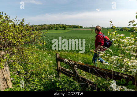 A field in Hampshire, the site of the Battle of Cheriton in the English Civil War, March 29th 1644. Stock Photo