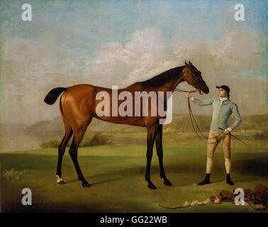 George Stubbs - Molly Long-legs with her Jockey Stock Photo