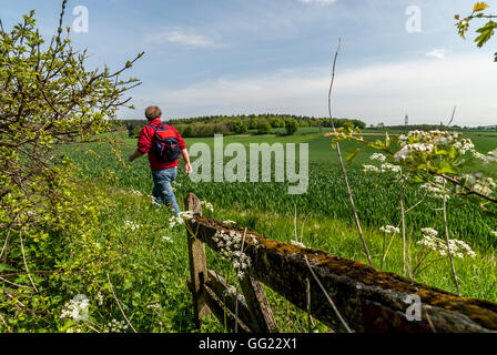 A field in Hampshire, the site of the Battle of Cheriton in the English Civil War, March 29th 1644. Stock Photo