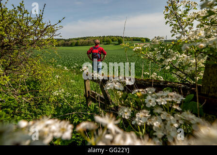 A field in Hampshire, the site of the Battle of Cheriton in the English Civil War, March 29th 1644. Stock Photo