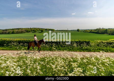 A field in Hampshire, the site of the Battle of Cheriton in the English Civil War, March 29th 1644. Stock Photo