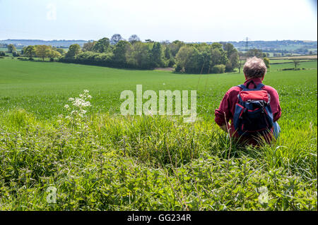 A field in Hampshire, the site of the Battle of Cheriton in the English Civil War, March 29th 1644. Stock Photo