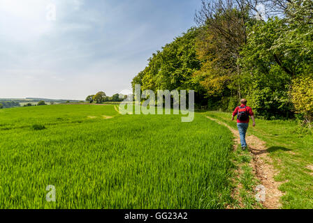 A field in Hampshire, the site of the Battle of Cheriton in the English Civil War, March 29th 1644. Stock Photo