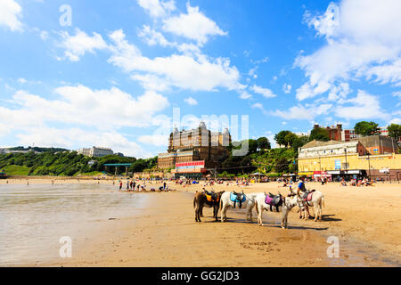 Donkey rides on the beach at Scarborough, North Yorkshire, England. Stock Photo