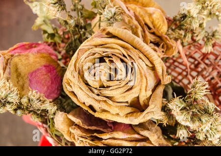 Bouquet of dried roses focused on middle Stock Photo