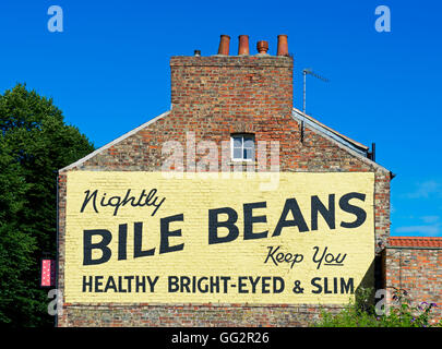 Sign advertising bile beans on Lord Mayor's Walk, York, North Yorkshire, England UK Stock Photo