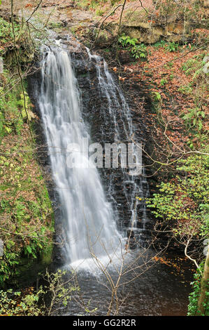 Falling Foss waterfall in Sneaton Forest, North York Moors National Park, North Yorkshire, England, UK Stock Photo