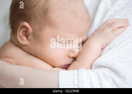 Close-up portrait of funny newborn babe napping in mom arms. Adorable new born child sleeping on mom hands. Healthy little kid Stock Photo