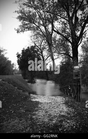 Exceptional flood in pordenone in November 2010 - Pordenone alluvione Novembre 2010 -  Massimiliano Scarpa photographer Stock Photo