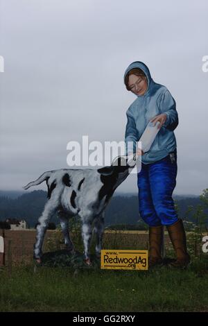 Huge agricultural themed roadside signs in Eureka, Humboldt County, California, USA Stock Photo